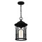 Quoizel Brampton 1-Light Matte Black Outdoor Hanging Lantern BRM1909MBK - alternate 4